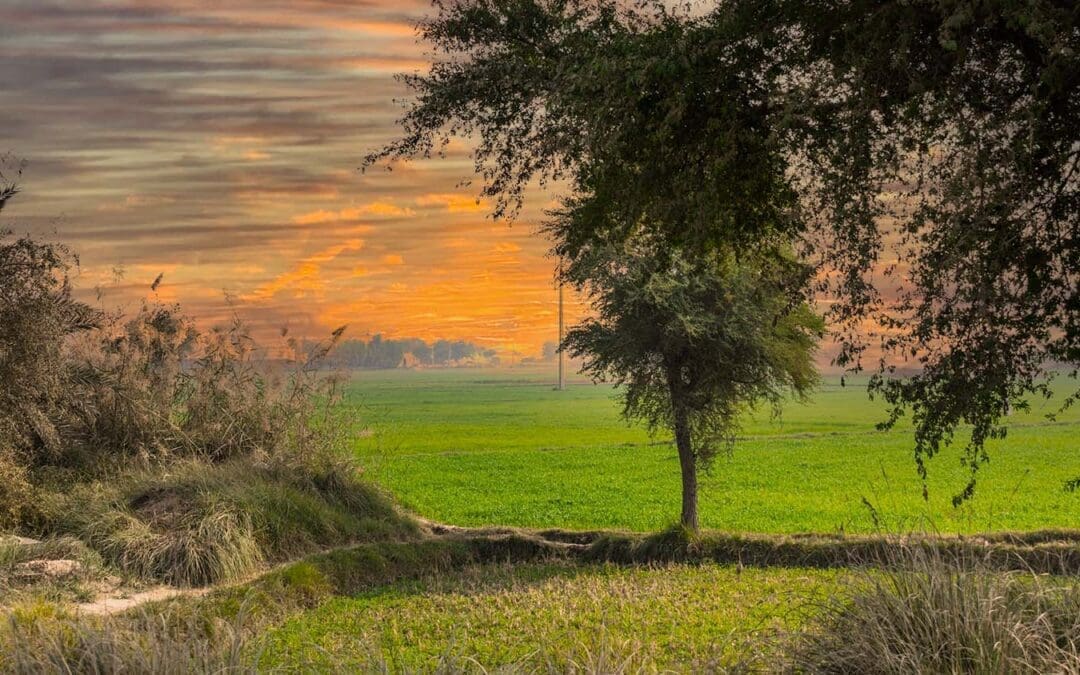 Vad menar vi med byggklar tomt?